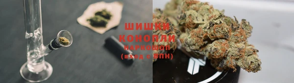 PSILOCYBIN Лиски
