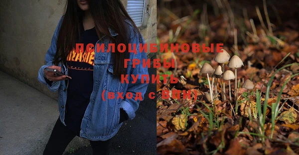 бошки Дегтярск