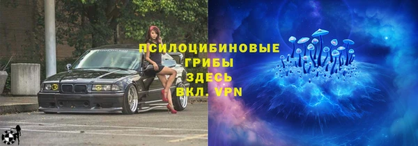 PSILOCYBIN Лиски