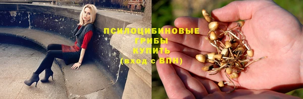 mdpv Липки